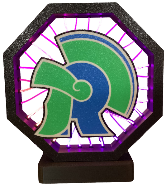 New Trier High School - Cover for Fiber Optic Lamp